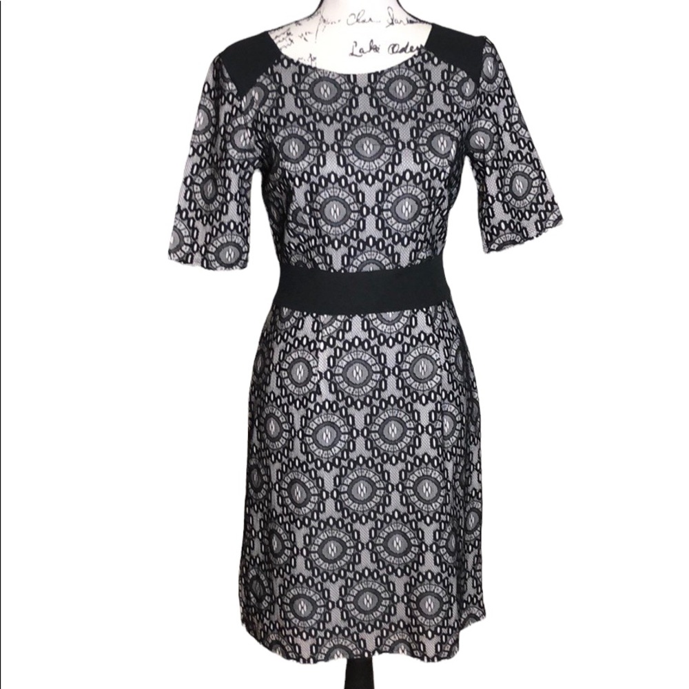 Black Scoop Neck Dress